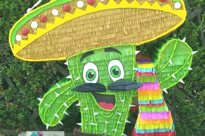 Escorts Boca Nopal, Mexico — Local Companions