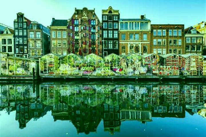 Escorts Boelenslaan, Netherlands — Local Companions