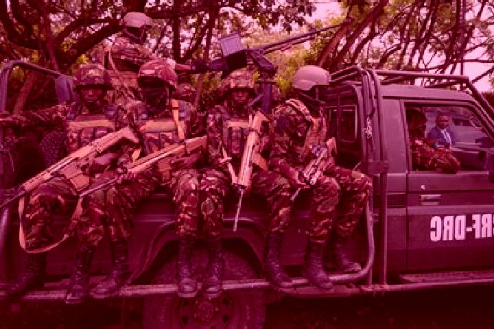 Escorts Boende, DR Congo — Local Companions