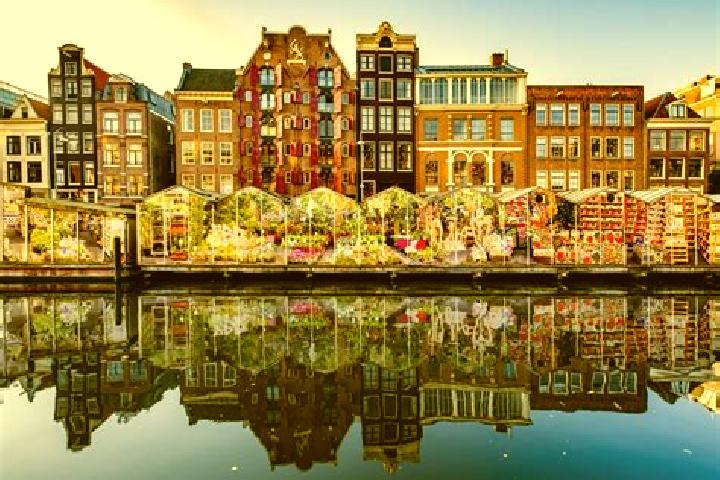 Escorts Boerdonk, Netherlands — Local Companions