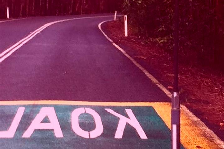 Escorts Bogangar, Australia — Local Companions