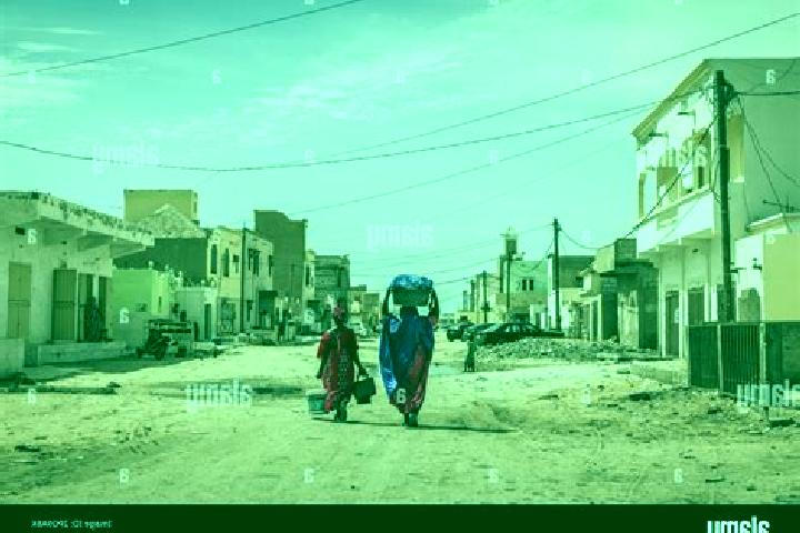 Escorts Bogue, Mauritania — Local Companions