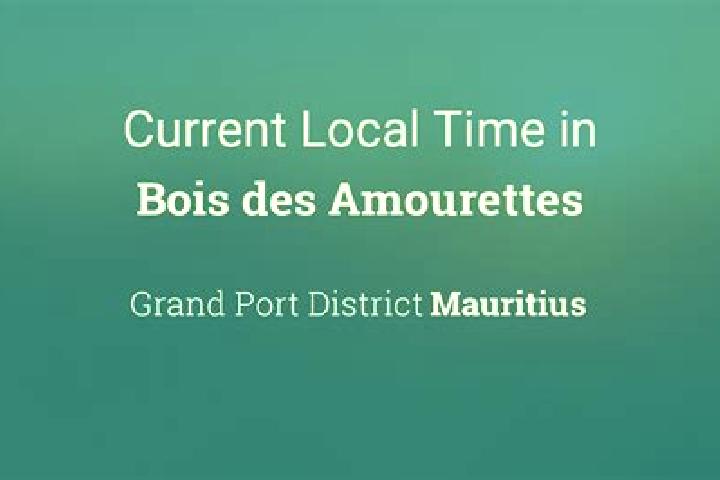Escorts Bois des Amourettes, Mauritius — Local Companions