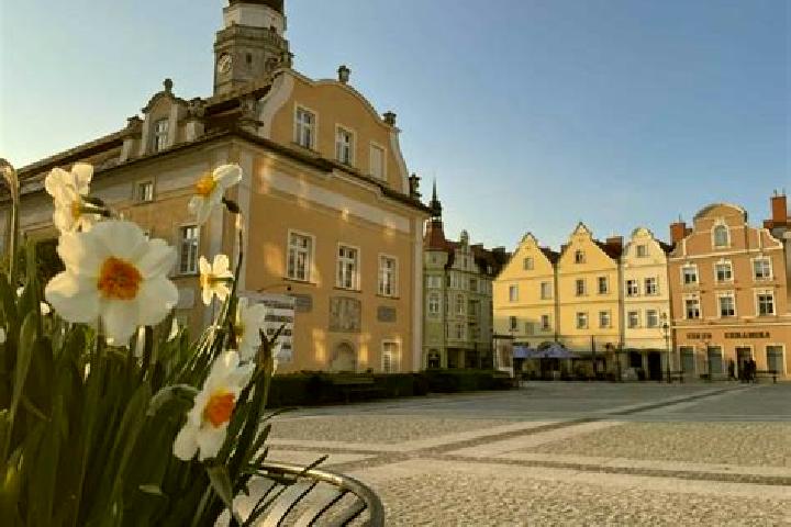 Escorts Boleslawiec, Poland — Local Companions