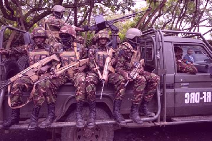 Escorts Bondo, DR Congo — Local Companions