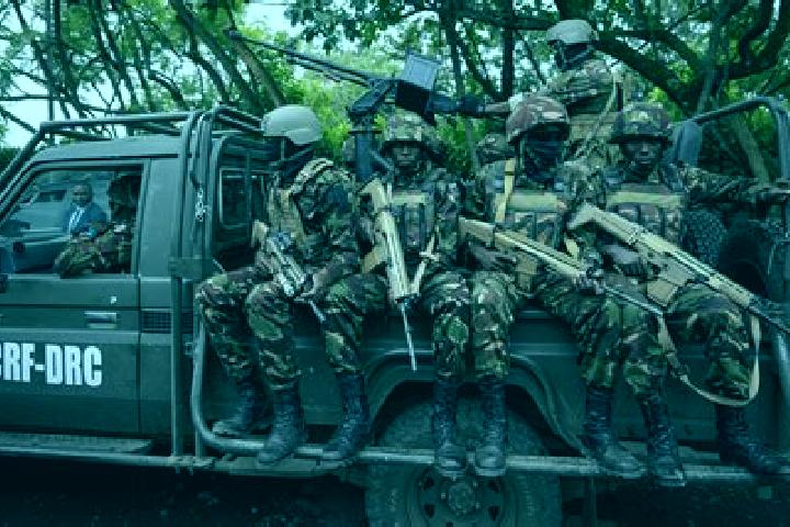 Escorts Bongandanga, DR Congo — Local Companions