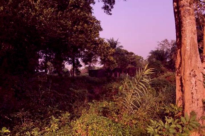 Escorts Bonthe, Sierra Leone — Local Companions