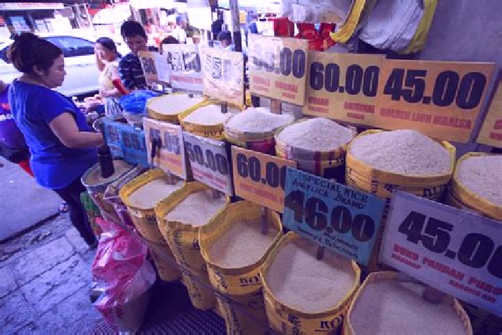 Escorts Bood, Philippines — Local Companions