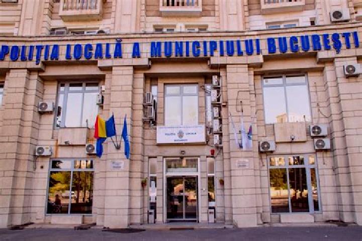 Escorts Borca, Romania — Local Companions