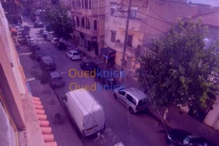 Escorts Bordj el Kiffan, Algeria — Local Companions