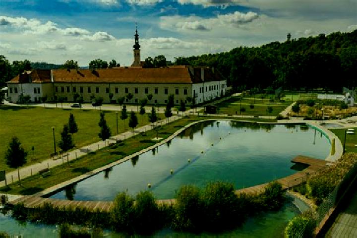 Escorts Borek, Czech Republic — Local Companions