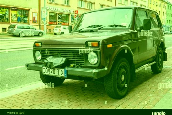 Escorts Borova Lada, Czech Republic — Local Companions