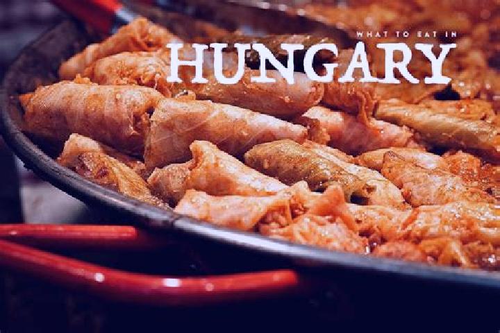 Escorts Borsodbota, Hungary — Local Companions
