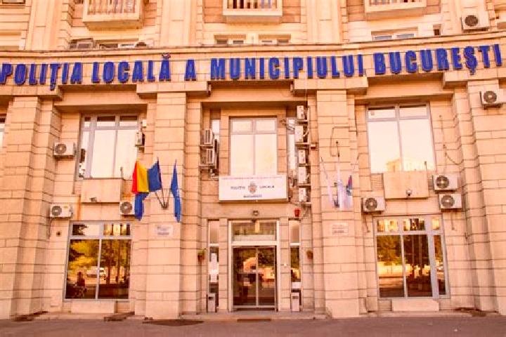 Escorts Borzesti, Romania — Local Companions