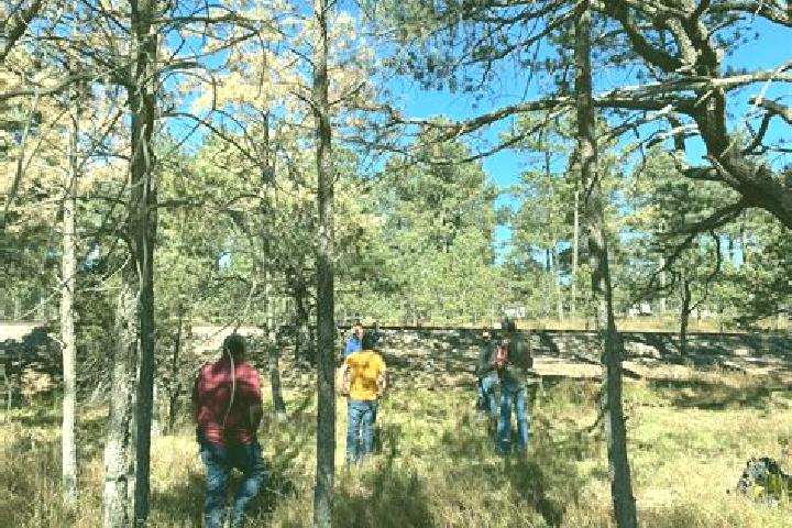 Escorts Bosques del Mineral, Mexico — Local Companions