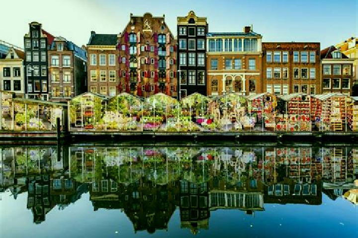 Escorts Bosschenhoofd, Netherlands — Local Companions