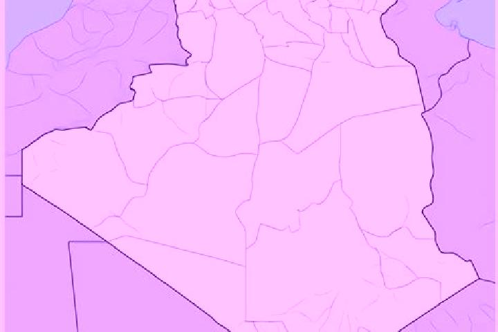 Escorts Bou Ismail, Algeria — Local Companions