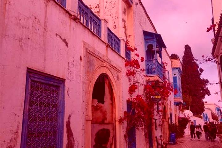 Escorts Bou Merdes, Tunisia — Local Companions