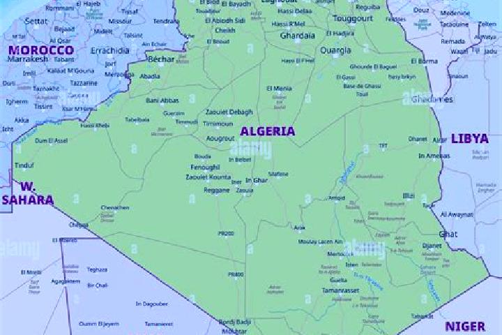 Escorts Bouinan, Algeria — Local Companions