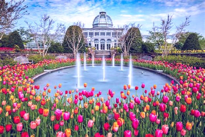 Escorts Boulevard Gardens, United States — Local Companions