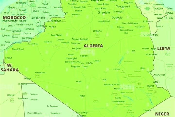 Escorts Boumerdas, Algeria — Local Companions