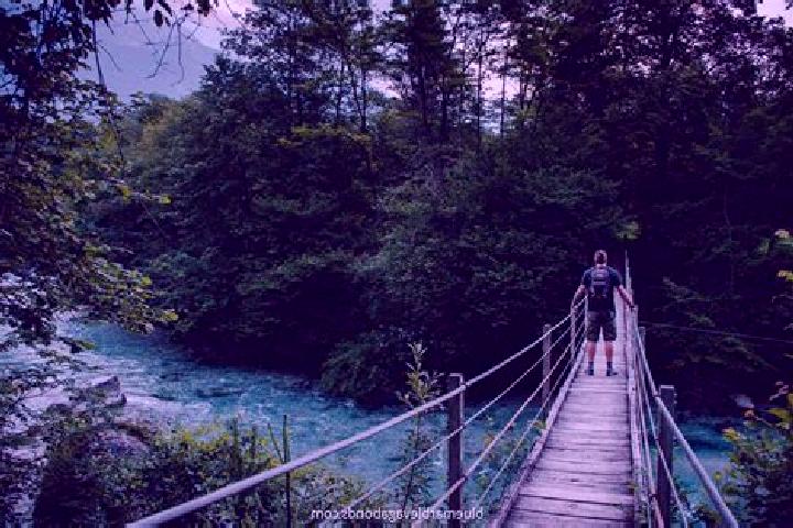 Escorts Bovec, Slovenia — Local Companions