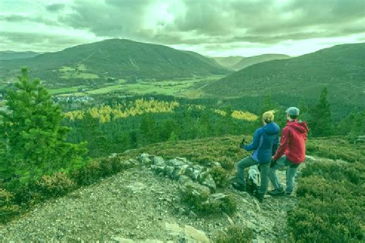 Escorts Braemar, Canada — Local Companions