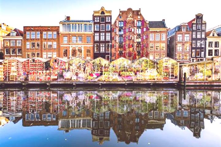 Escorts Breezand, Netherlands — Local Companions