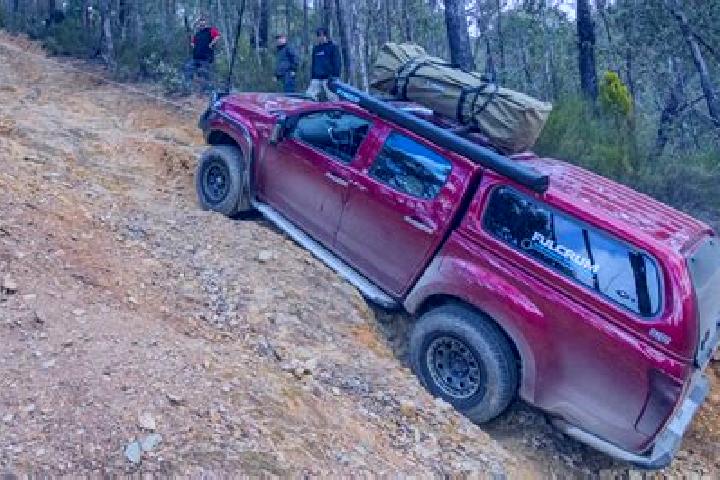 Escorts Brendale, Australia — Local Companions