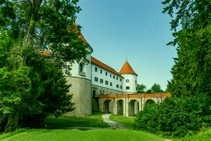 Escorts Brezice, Slovenia — Local Companions