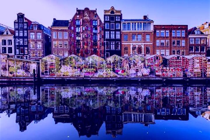 Escorts Broekerhaven, Netherlands — Local Companions