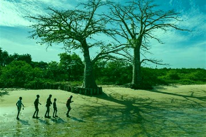 Escorts Bubaque, Guinea-Bissau — Local Companions
