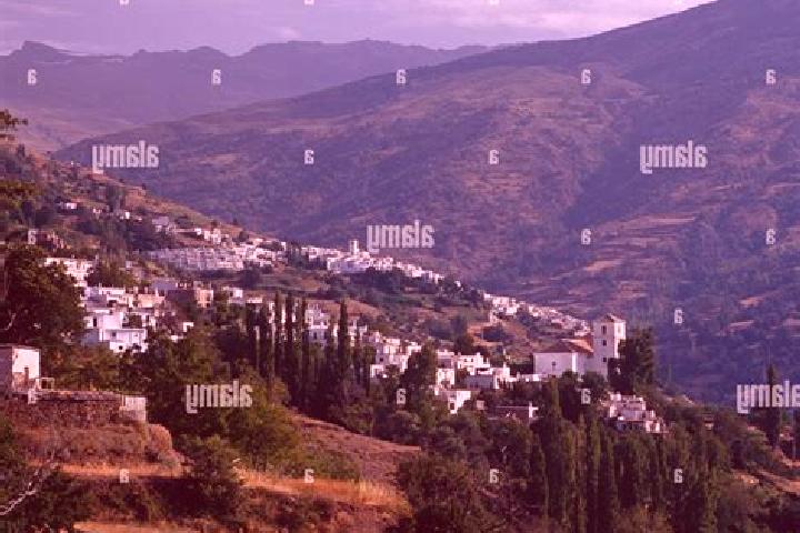 Escorts Bubion, Spain — Local Companions