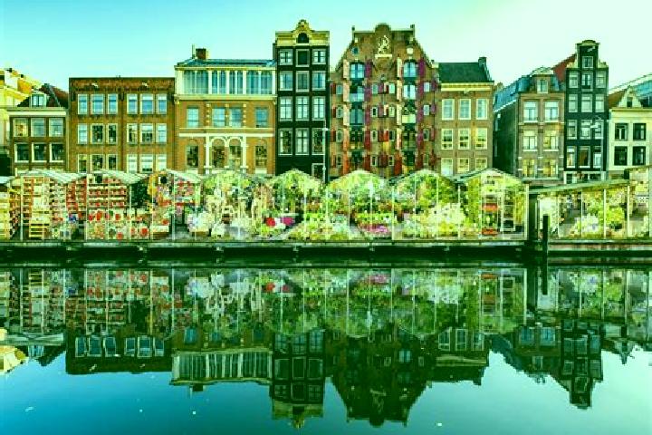 Escorts Buchten, Netherlands — Local Companions