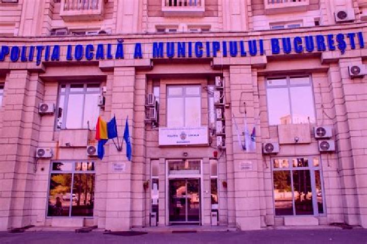 Escorts Bucov, Romania — Local Companions