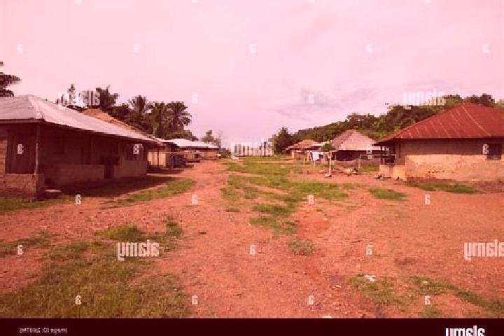 Escorts Buedu, Sierra Leone — Local Companions