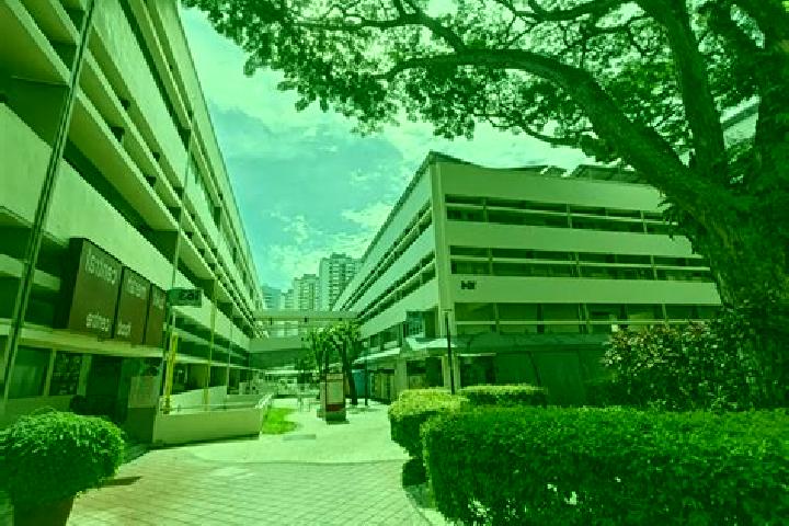 Escorts Bukit Merah Estate, Singapore — Local Companions