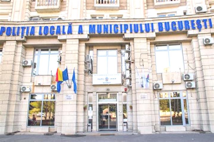 Escorts Bulzesti, Romania — Local Companions