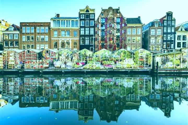 Escorts Bunde, Netherlands — Local Companions