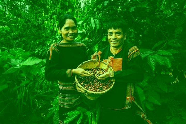 Escorts Buon Tur, Vietnam — Local Companions