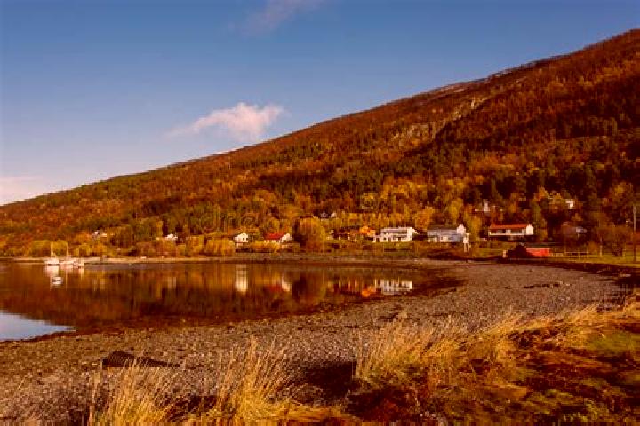 Escorts Burfjord, Norway — Local Companions