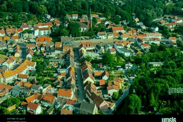 Escorts Burg Stargard, Germany — Local Companions