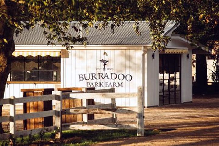 Escorts Burradoo, Australia — Local Companions