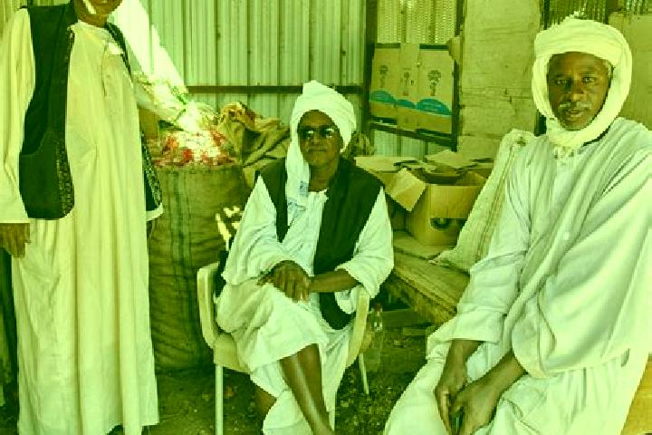 Escorts Burri Al Mahas, Sudan — Local Companions