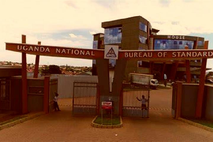 Escorts Busia, Uganda — Local Companions