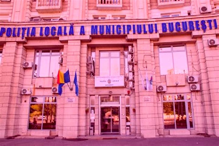 Escorts Buzoeni, Romania — Local Companions