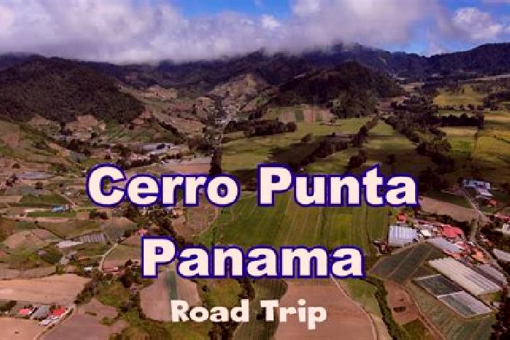 Escorts Cabecera de Cerro Puerco, Panama — Local Companions