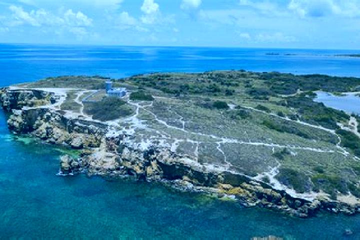 Escorts Cabo Rojo, Puerto Rico — Local Companions
