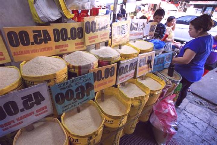 Escorts Cabognon, Philippines — Local Companions