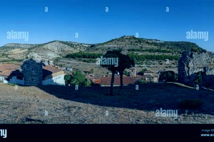 Escorts Cabrejas del Campo, Spain — Local Companions
